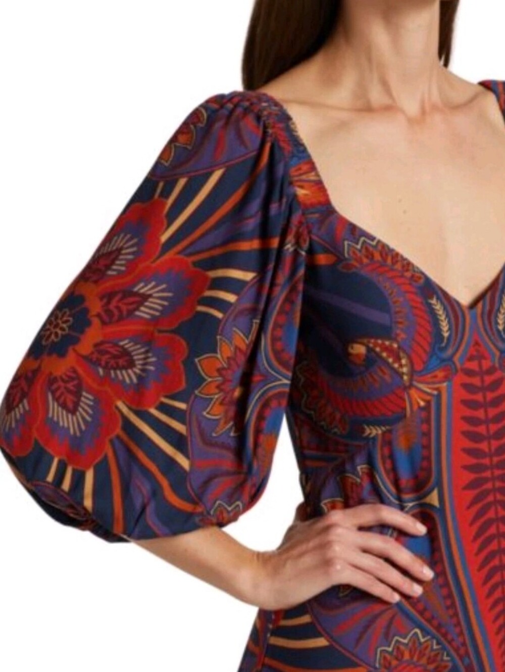FARM RIO | $240 Macaw Arabesque Puff Sleeve Maxi Dress - Picture 6 of 6